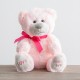 愛心熊 Love for Your Heart - Plush Bear
