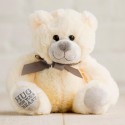 抱心熊 Hug for Your Heart - Plush Bear