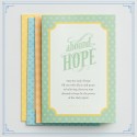 Cards (Single/Box)